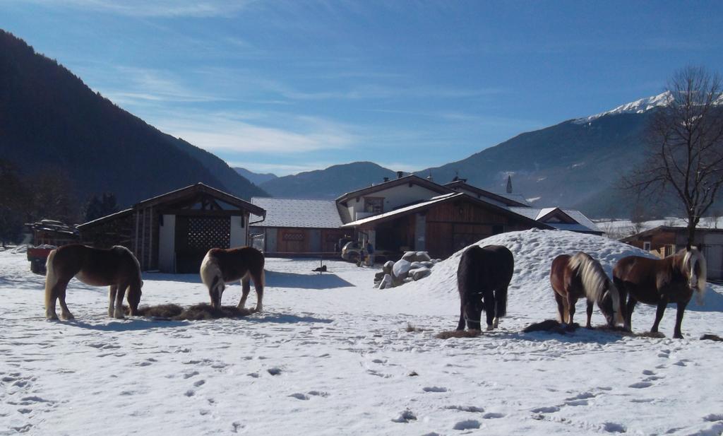 Agriturismo Maso Grisun Borzago Екстер'єр фото