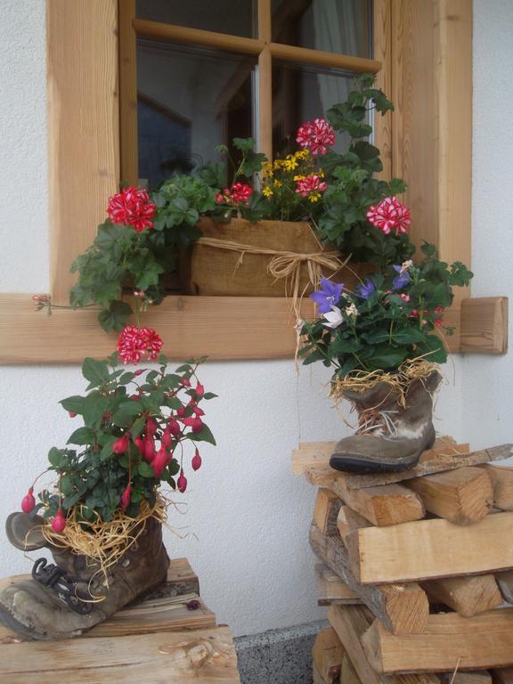Agriturismo Maso Grisun Borzago Екстер'єр фото