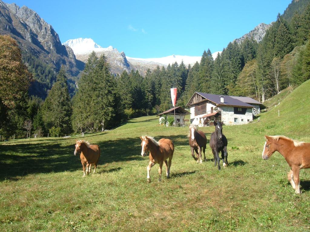 Agriturismo Maso Grisun Borzago Екстер'єр фото