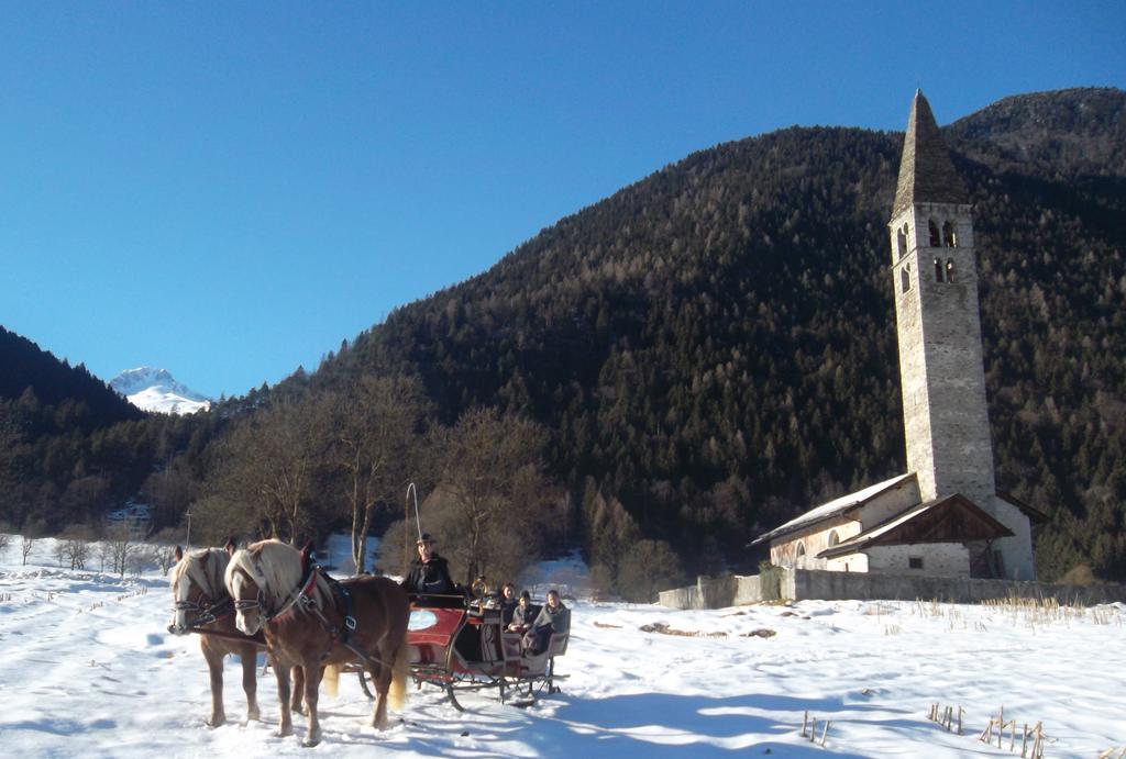 Agriturismo Maso Grisun Borzago Екстер'єр фото