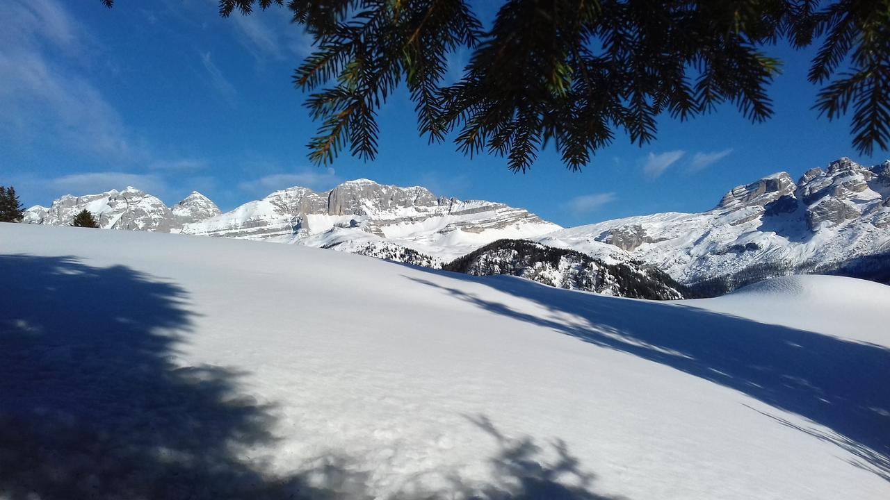 Agriturismo Maso Grisun Borzago Екстер'єр фото