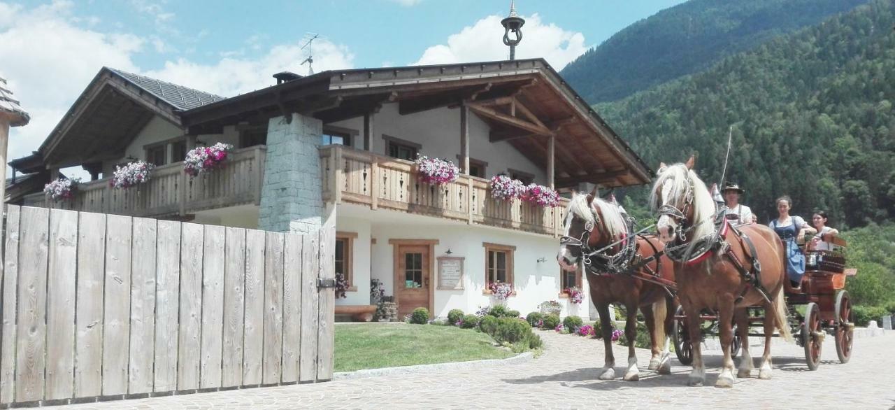 Agriturismo Maso Grisun Borzago Екстер'єр фото